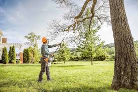Best Lawn Pest Prevention  in Shady Point, OK