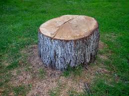 Best Lawn Grading and Leveling  in Shady Point, OK