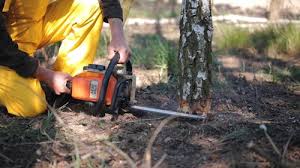 Best Soil Testing and Treatment  in Shady Point, OK
