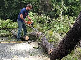 Shady Point, OK Tree Services Company
