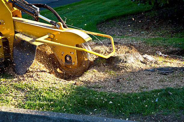 Best Lawn Irrigation Installation and Maintenance  in Shady Point, OK