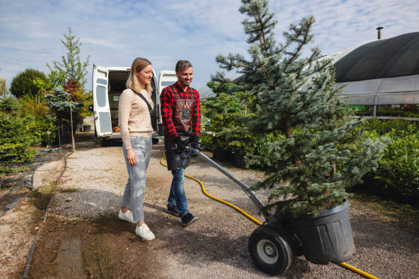 Best Tree Preservation Services  in Shady Point, OK